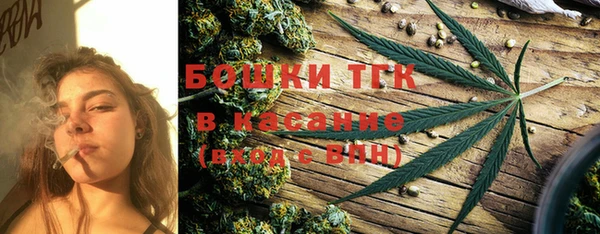 прущие грибы Каменск-Шахтинский