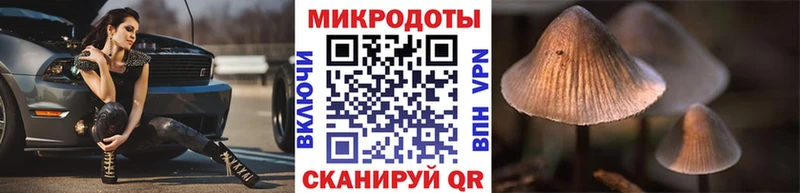 Галлюциногенные грибы Psilocybine cubensis  Димитровград 